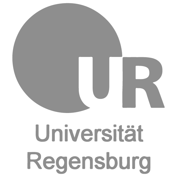 Regensburg University