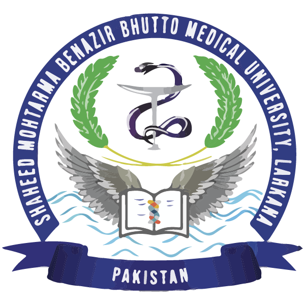 Shaheed Mohtarma Benazir Bhutto Medical University