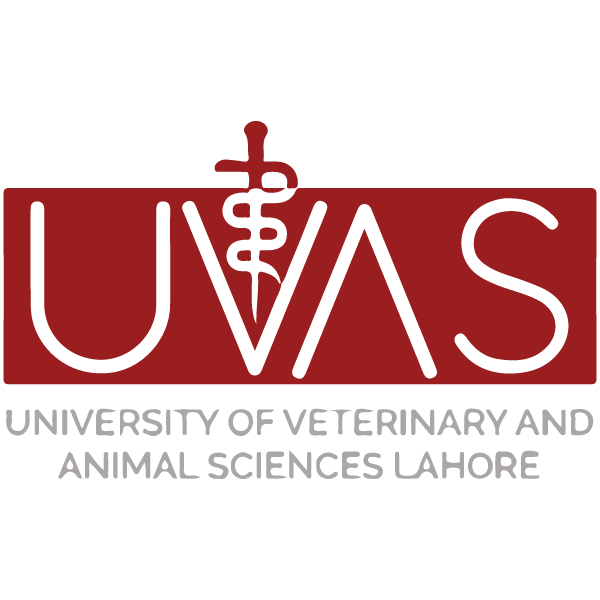 University of Veterinary & Animal Sciences