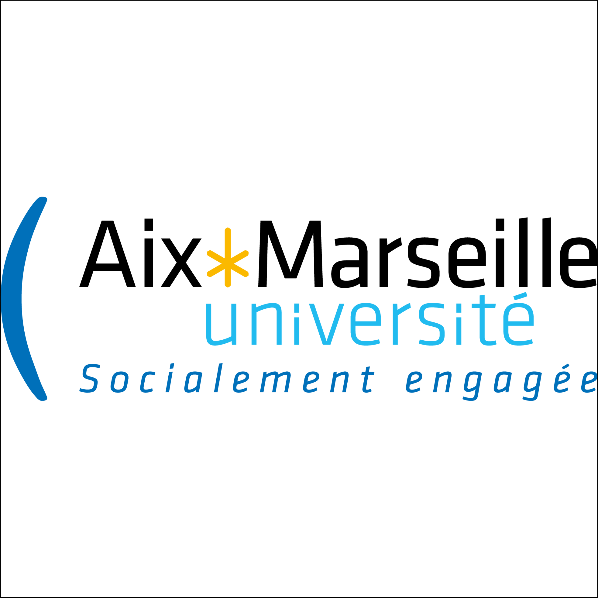 Aix-Marseille University