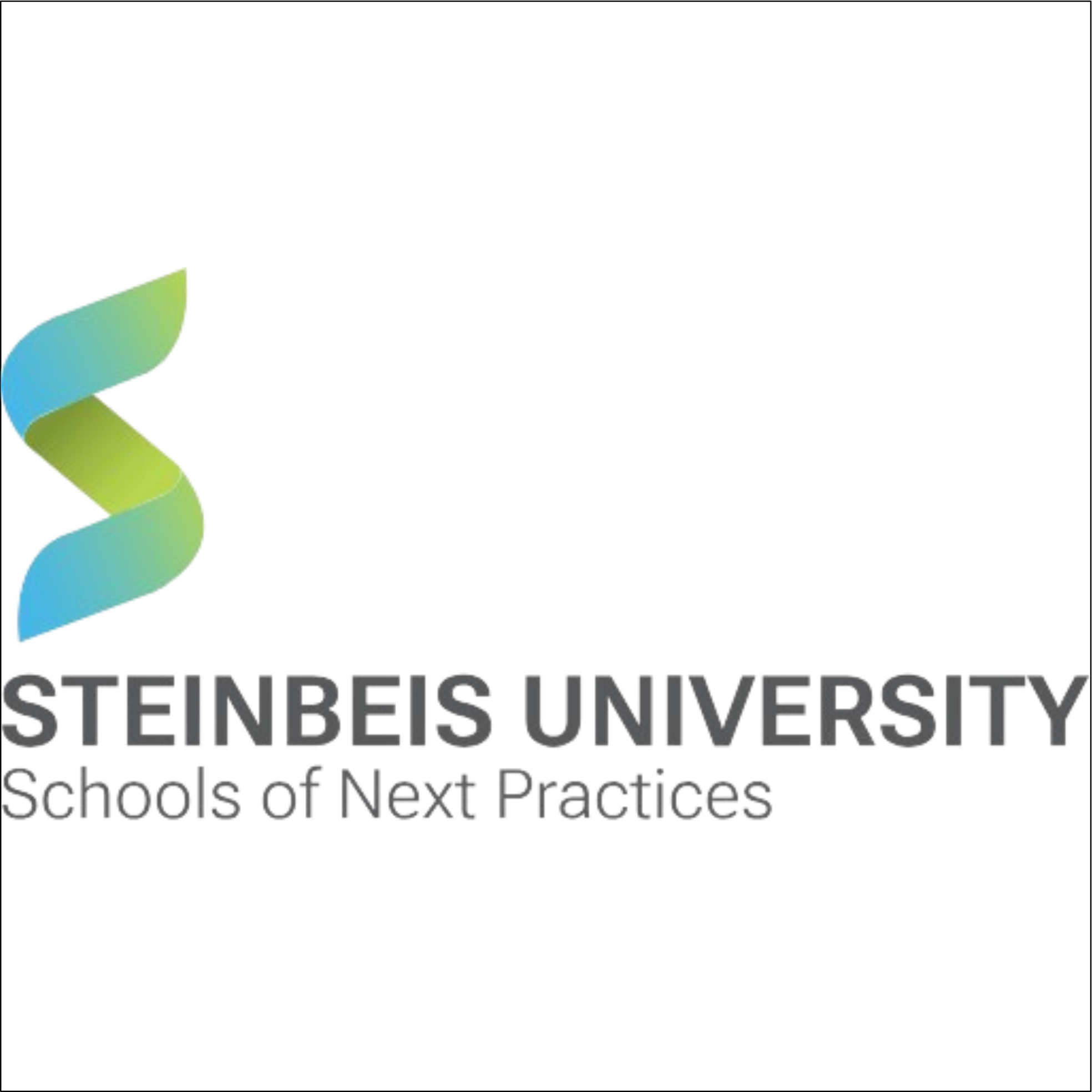 Steinbeis University Berlin