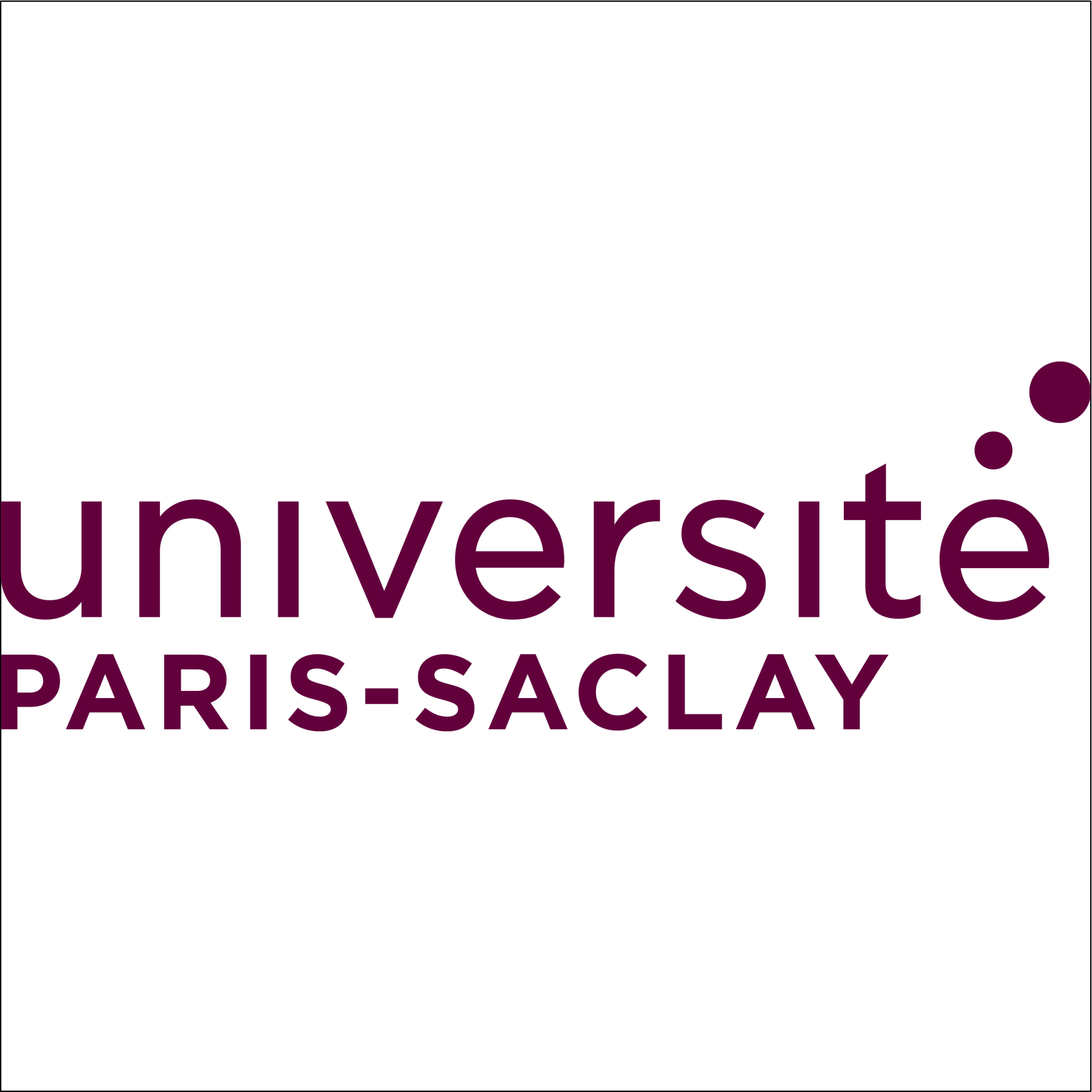 Paris-Saclay University