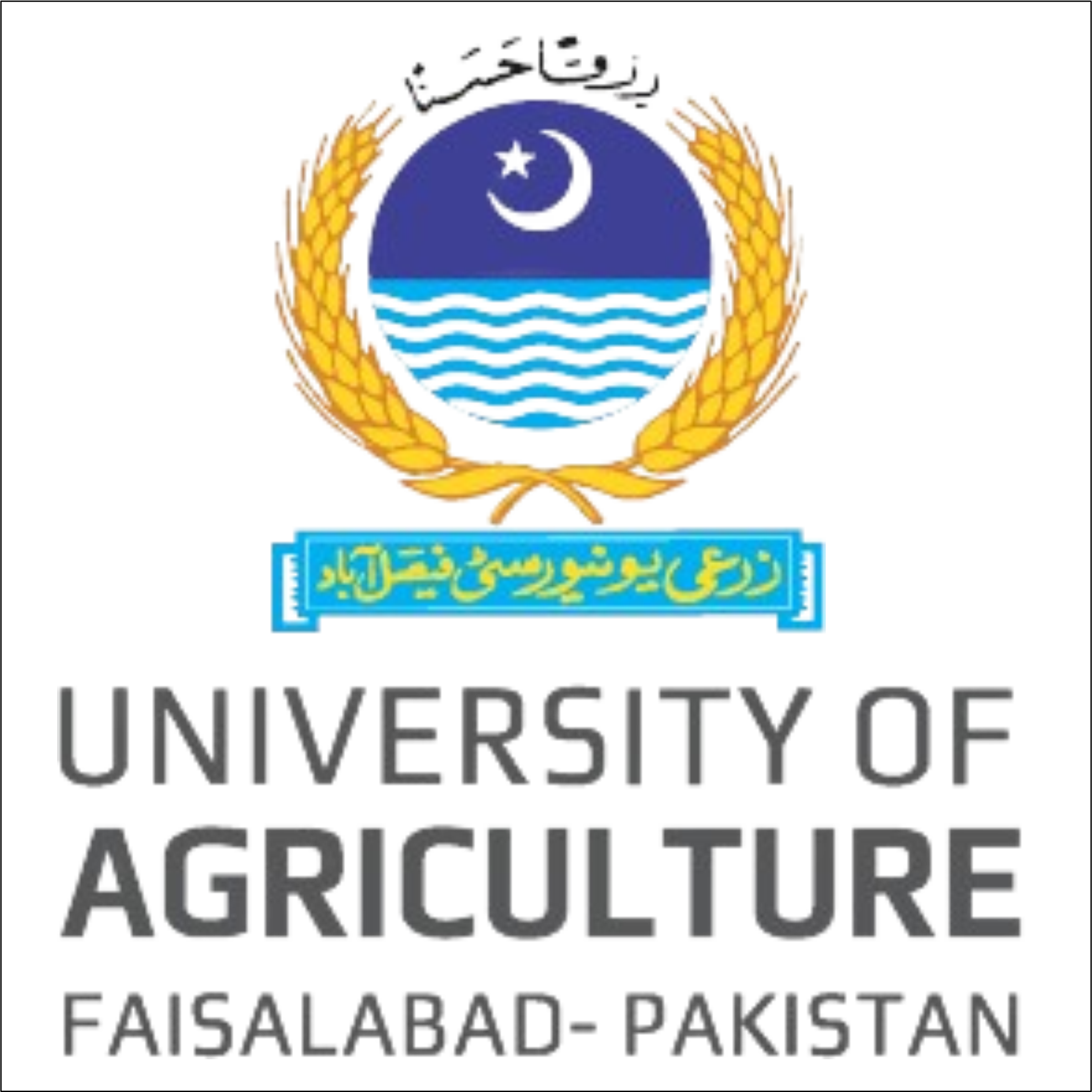 University of Agriculture Faisalabad