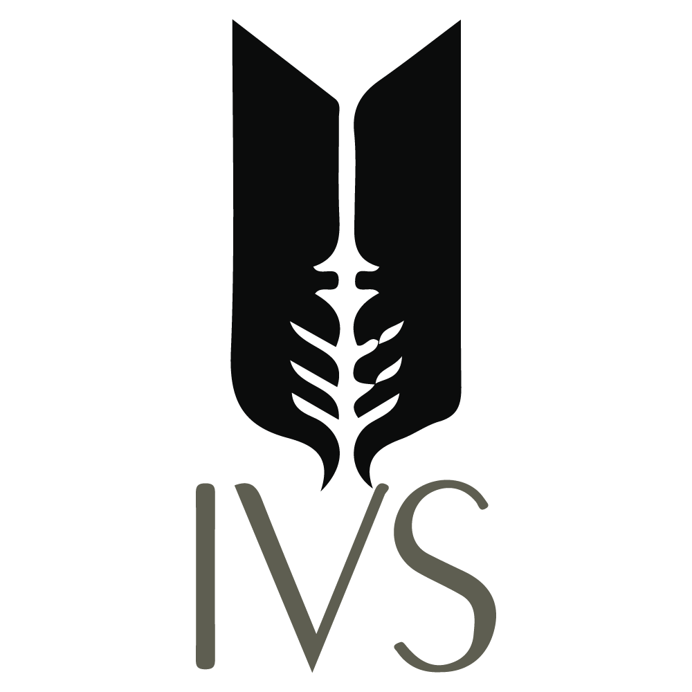 Indus Valley School of Art & Architecture