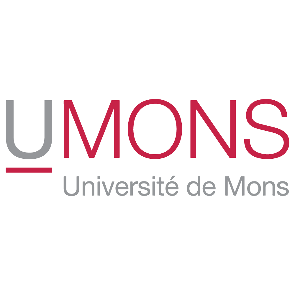 University of Mons